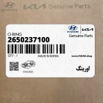 اورينگ (2650237100) کیا