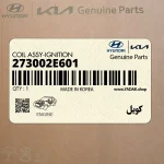 كويل (273002E601) کیا