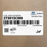 كويل (273013C000) کیا
