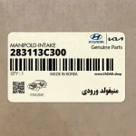 منيفولد ورودي (283113C300) کیا