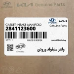واشر منيفولد ورودي (2841123600) کیا