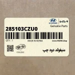 منيفولد دود چپ (285103CZU0) کیا