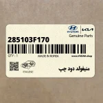 منيفولد دود چپ (285103F170) کیا