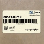 منيفولد دود چپ (285113C710) کیا