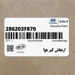 ارتعاش گير هوا (286203F870) کیا