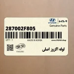 لوله اگزوز اصلي (287002F805) کیا