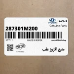 منبع اگزوز عقب (287301M200) کیا