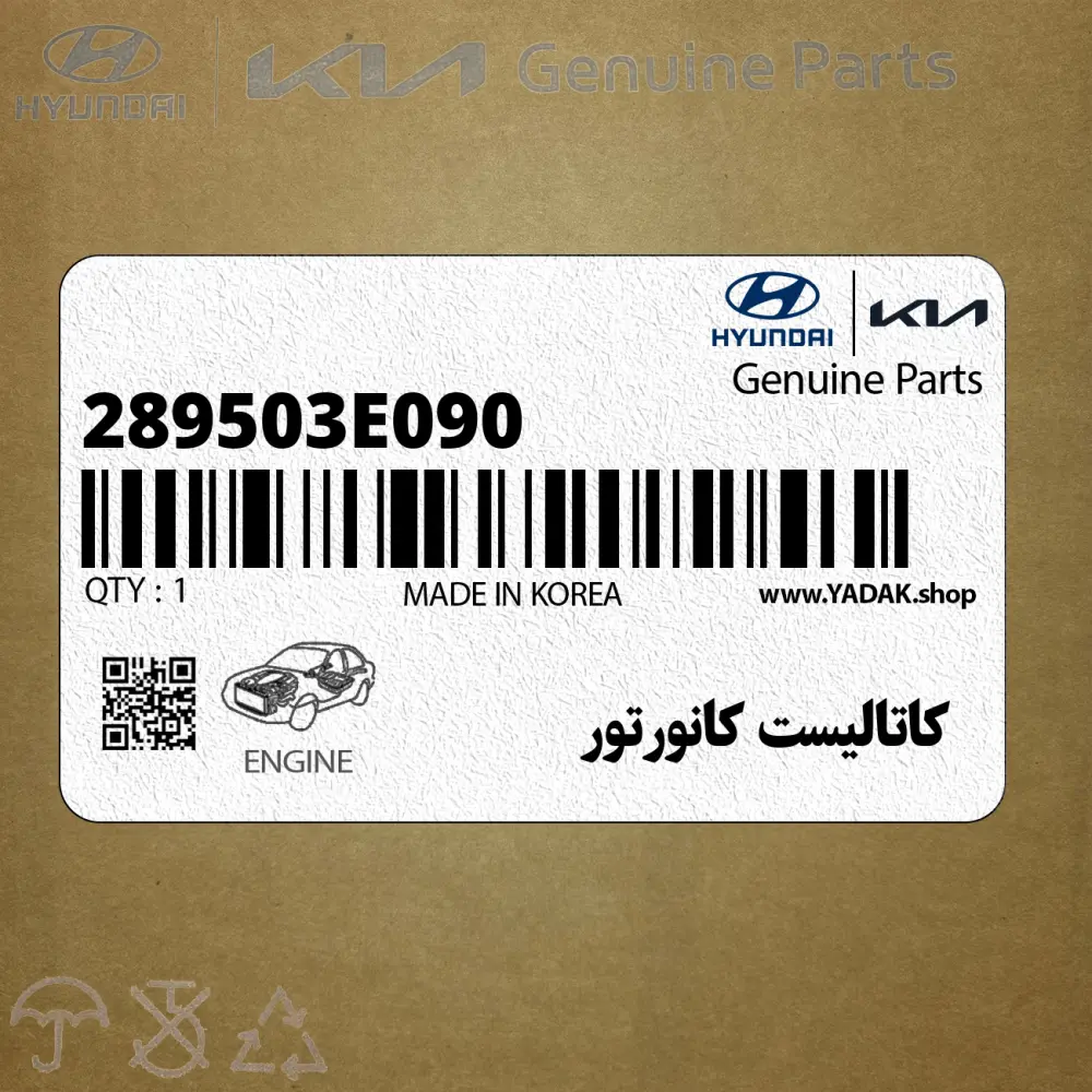 كاتاليست كانورتور (289503E090) کیا