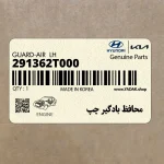 محافظ بادگير چپ (291362T000) کیا