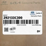 پيچ (292133C300) کیا
