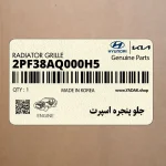 جلو پنجره اسپرت (2PF38AQ000H5) کیا