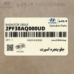 جلو پنجره اسپرت (2PF38AQ000UD) کیا