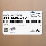 بلوك سيلندر (301TM2GA01D) کیا