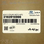 پيچ لوله باك (310391E000) کیا
