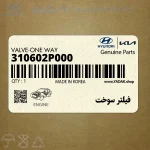 فيلتر سوخت (310602P000) کیا