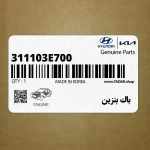 باك بنزين (311103E700) کیا
