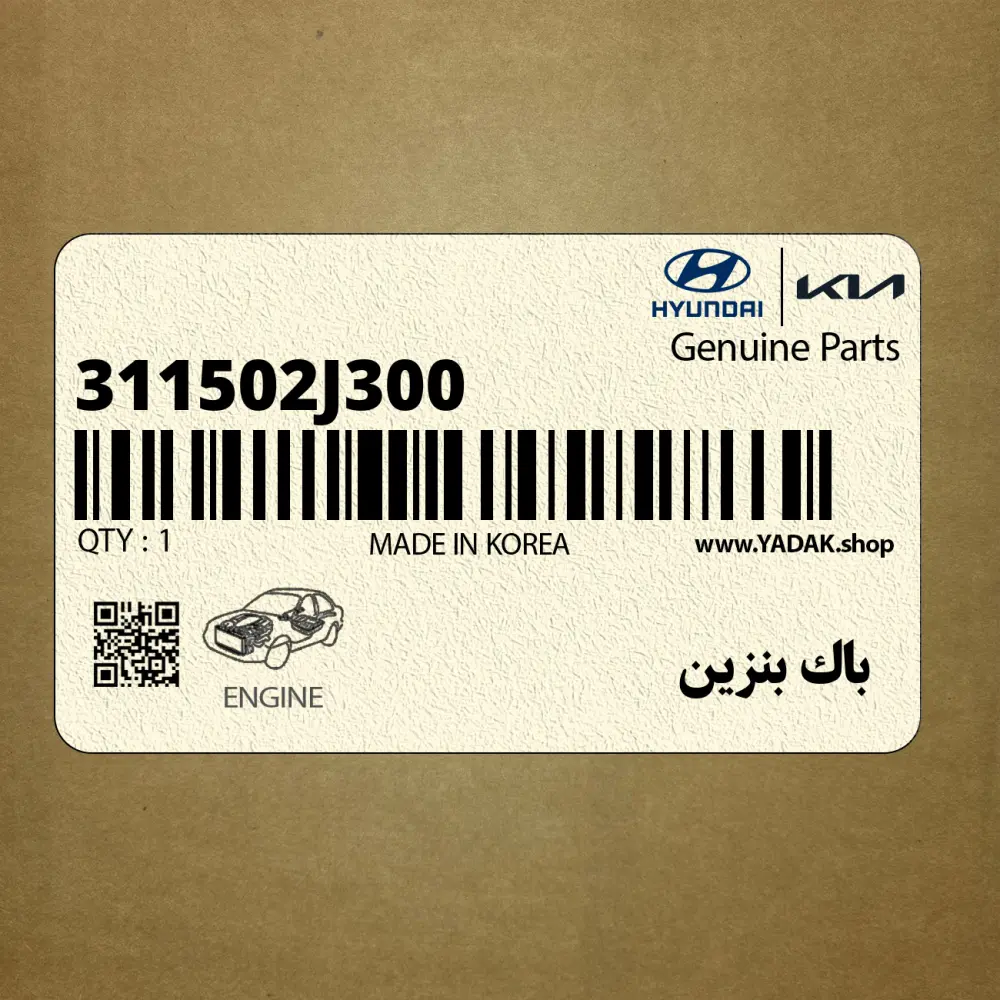 باك بنزين (311502J300) کیا