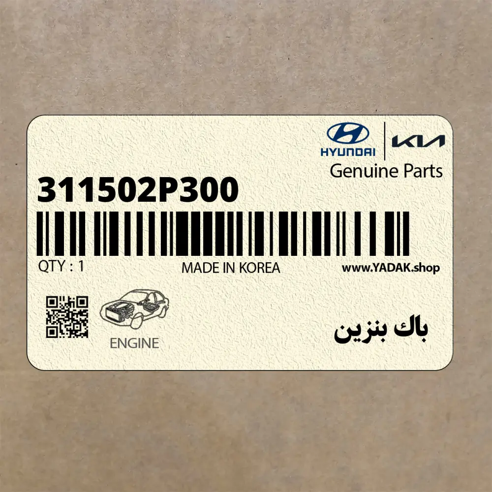 باك بنزين (311502P300) کیا