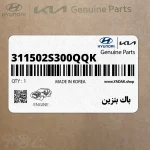 باك بنزين (311502S300QQK) کیا