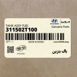 باك بنزين (311502T100) کیا