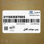 پمپ سوخت كامل (311503E870-DS) کیا