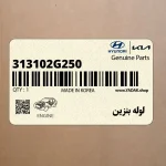لوله بنزين (313102G250) کیا