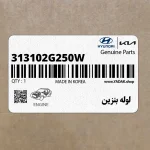 لوله بنزين (313102G250W) کیا