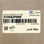 شيلنگ كنيستر (313562P000) کیا