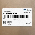 كنيستر (314203F100) کیا