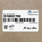 عملگر دريچه گاز (351003C700) کیا