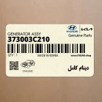 دينام كامل (373003C210) کیا