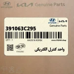 واحد كنترل الكتريكي (391063C295) کیا