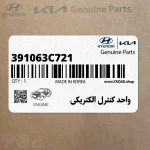 واحد كنترل الكتريكي (391063C721) کیا