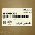 واحد كنترل الكتريكي (391063C730) کیا