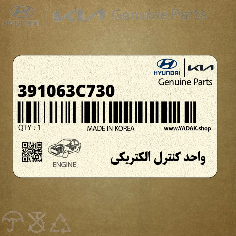 واحد كنترل الكتريكي (391063C730) کیا