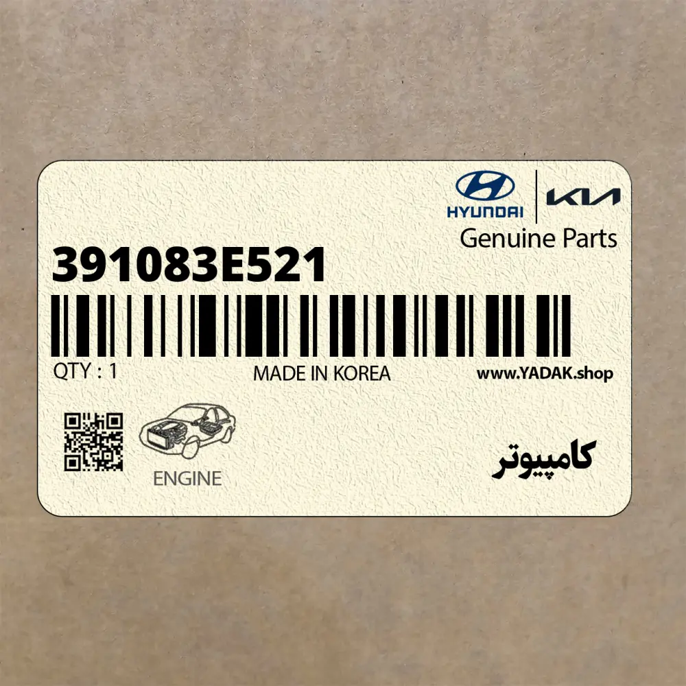كامپيوتر (391083E521) کیا