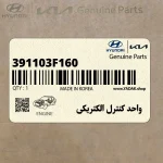 واحد كنترل الكتريكي (391103F160) کیا