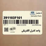 واحد كنترل الكتريكي (391103F161) کیا
