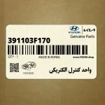 واحد كنترل الكتريكي (391103F170) کیا