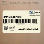 نگهدارنده واحد كنترل الكترونيكي (391203C100) کیا