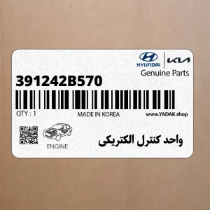 واحد كنترل الكتريكي (391242B570) کیا