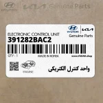 واحد كنترل الكتريكي (391282BAC2) کیا
