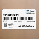 واحد كنترل الكتريكي (391283E231) کیا
