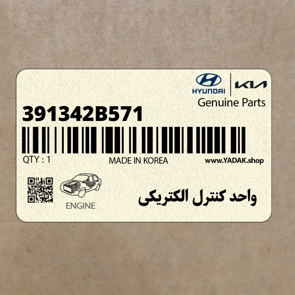 واحد كنترل الكتريكي (391342B571) کیا