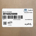 رله قدرت (3916025000) کیا