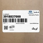 اورينگ (3918837000) کیا