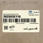 ناك سنسور راست (392503E110) کیا