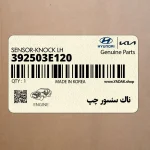 ناك سنسور چپ (392503E120) کیا