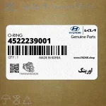 اورينگ (4522239001) کیا