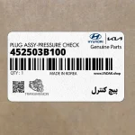 پيچ كنترل (452503B100) کیا